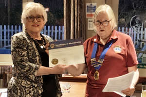 Welcome to New Lion Marion Munro